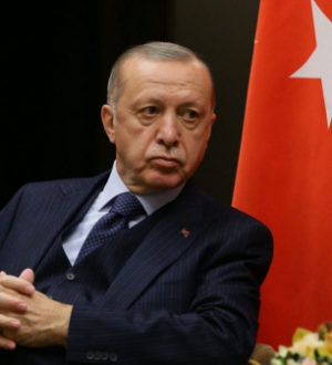 Erdogan Dismisses Council of Europe’s Call to Release Activist