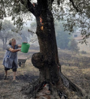 Meteorolozi: Portugal je doživio najtopliji srpanj u gotovo stotinu godina