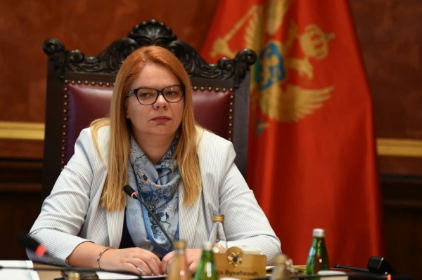 Vukićević u Strazburu: Poku&scaron;aji uticaja zapadnih diplomata na procese u Crnoj Gori su negiranje izborne volje građana