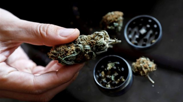 Albania Drafts Law to Legalise Cannabis for Medical, Industrial Use Albania Drafts Law to Legalise Cannabis for Medical, Industrial Use