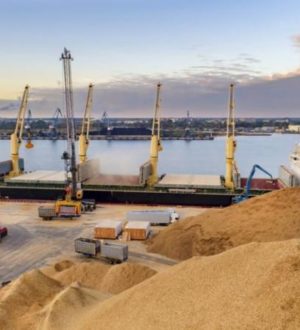 «Зерновой коридор» Украины: как блокада не помешала морским перевозкам