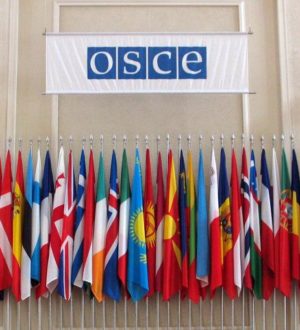 OEBS — nije mjesto za agresora