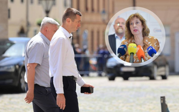 
                Vrije u DP-u. Žena koja je pisala program stranke objavila za&scaron;to će podržati Radića i Peternela, žestoko se obru&scaron;ila na Penavu
              