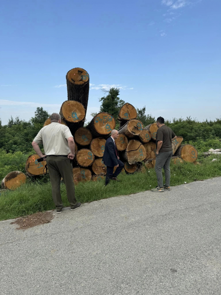 Dabro od početka negodovao zbog Hrvatskih šuma, osobno obilazio balvane. Nakon hitne revizije odbio dati razrješnicu HDZ-ovcu Dujiću
Dabro od početka negodovao zbog Hrvatskih šuma, osobno obilazio balvane. Nakon hitne revizije odbio dati razrješnicu HDZ-ovcu Dujiću