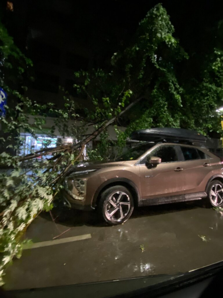 Drvo palo na automobil u Tuzli: Pogledajte kako munje paraju nebo (VIDEO) Drvo palo na automobil u Tuzli: Pogledajte kako munje paraju nebo (VIDEO)